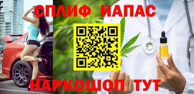 стаф Кунгур