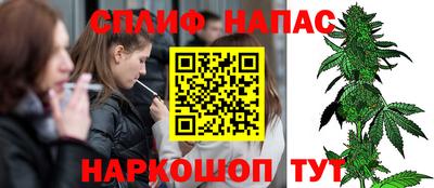 стаф Кунгур