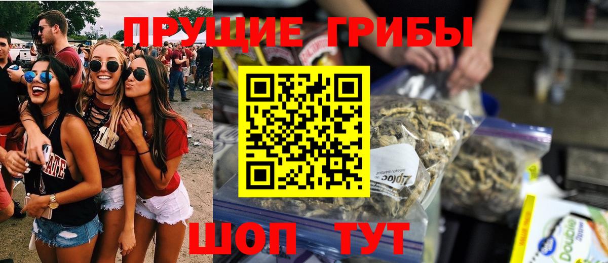 Златоуст  Галлюциногенные грибы мухоморы  Вход с VPN 