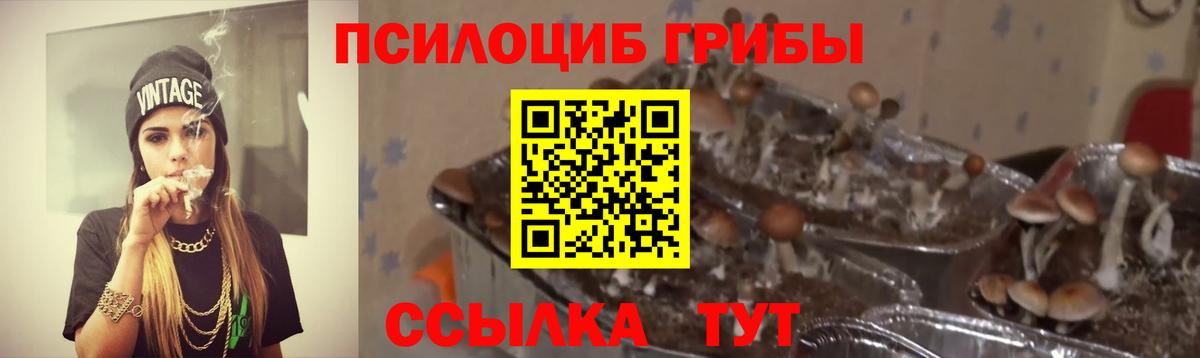 Галлюциногенные грибы Magic Shrooms Златоуст